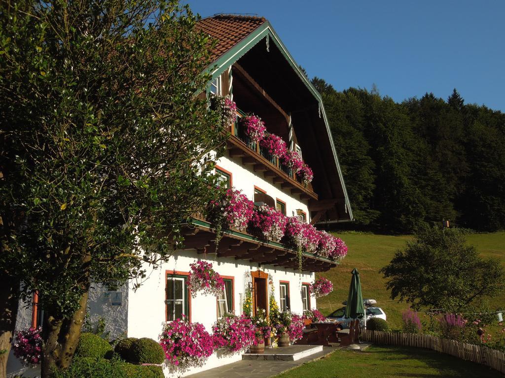 Wohlfühlbauernhof Bambichlhof Villa Fuschl am See Exterior foto